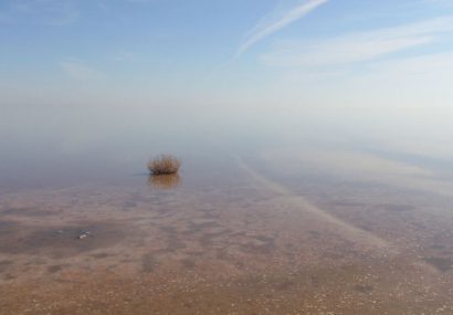تبخیر دریاچه ارومیه آغاز شده است/ دلیل مرگ آرتمیا پسروی آب دریاچه است