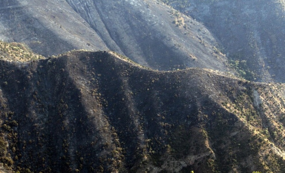 ۶۴۰ هکتار سوخته در قره‌داغ جنگلی نیست/ اکثراً اراضی کشاورزی آتش گرفته‌اند