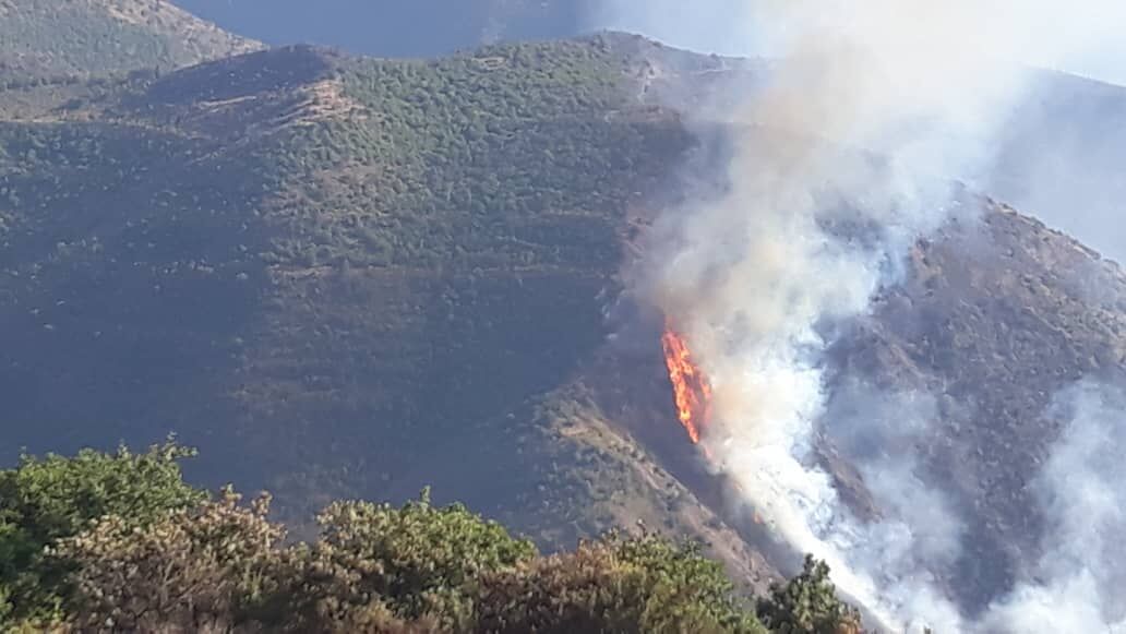 درخواست بررسی علل آتش‌سوزی جنگل‌های ارسباران