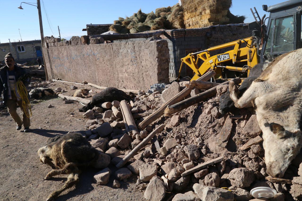 امکانات و نیروها برای کمک به زلزله‌زدگان آذربایجان بسیج شوند