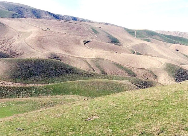 بازپس‌گیری بیش از ۲هزار هکتار اراضی ملی آذربایجان‌شرقی