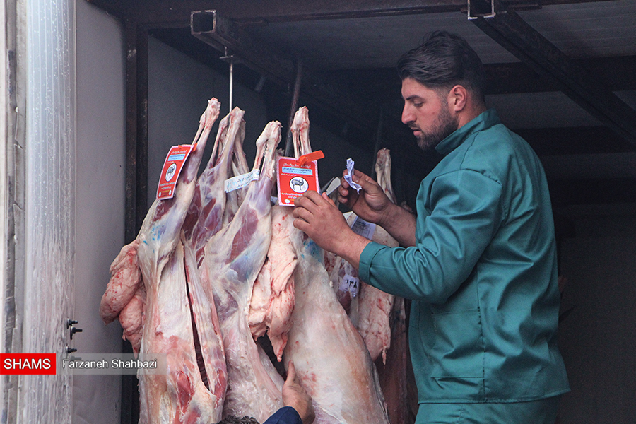 آغاز توزیع گوشت‌های بسته‌بندی شده در تبریز/ قیمت گوشت قرمز با افزایش تولید کاهش می‌یابد