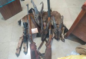 دستگیری ۳ شکارچی متخلف در منطقه حفاظت شده سهند