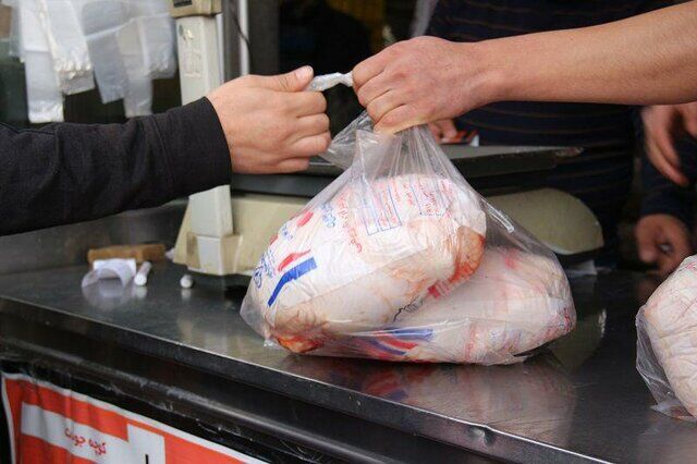 خرید تضمینی گوشت مرغ در آذربایجان‌شرقی