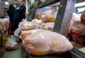 روزانه ۵۰ تا ۶۰ تن مرغ منجمد در آذربایجان شرقی عرضه می‌شود