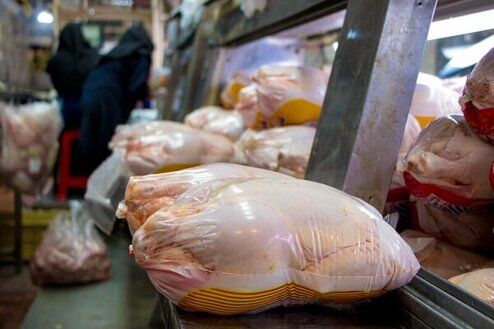 روزانه ۵۰ تا ۶۰ تن مرغ منجمد در آذربایجان شرقی عرضه می‌شود