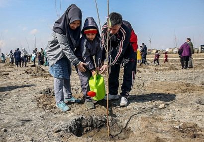 ثبت تقاضای ۶۰۰۰ نفر برای کاشت نهال رایگان در تبریز