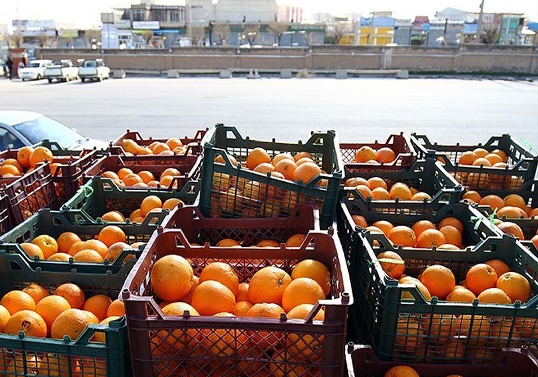 میوه شب عید آذربایجان‌شرقی خرید و ذخیره‌سازی می‌شود