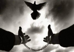 آزادی ۴۰۷ نفر از زندانیان جرائم غیر عمد استان در سالجاری