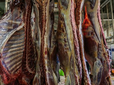 جهت خرید گوشت با قیمت پایین‌تر از مصوب، به فروشگاه‌های کشتارگاه مراجعه کنید/ اجازه نمی‌دهیم از قیمت مصوب عدول کنند