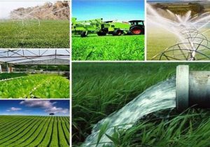 ۵۲ طرح کشاورزی آذربایجان‌شرقی آماده بهره برداری است
