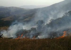 هشت هکتار از جنگل‌های ارسباران در آتش سوخت/ احتمال عمدی بودن آتش سوزی وجود داد