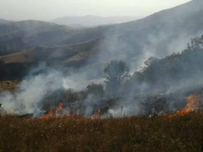 هشت هکتار از جنگل‌های ارسباران در آتش سوخت/ احتمال عمدی بودن آتش سوزی وجود داد