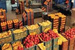 سیاست جدید وزارت جهاد کشاورزی برای میوه شب عید/ کشت سبزی و صیفی به گلخانه‌ها منتقل می‌شود