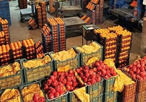 سیاست جدید وزارت جهاد کشاورزی برای میوه شب عید/ کشت سبزی و صیفی به گلخانه‌ها منتقل می‌شود