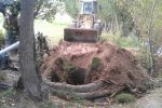 مدیرعامل آب منطقه‌ای آذربایجان‌شرقی: ۴۹۷ حلقه چاه غیرمجاز در استان پُر شد