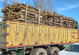 کشف ۲۰ کامیون حامل چوب قاچاق در آذربایجان‌شرقی/ کاهش ۹۵ درصدی قطع درخت در استان