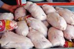 توزیع ۲۰۰ تن مرغ رایگان در بین نیازمندان آذربایجان‌شرقی