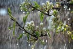 رگبار باران آذربایجان‌شرقی را فرا می‌گیرد