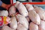 نگران بازار مرغ نیستیم/ مرغ منجمد به میزان کافی در سردخانه‌های آذربایجان‌شرقی موجود است