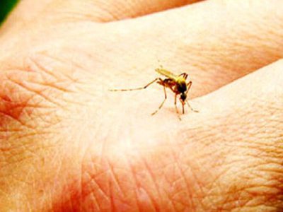 هشدار علوم پزشکی نسبت به شیوع مالاریا در آذربایجان‌شرقی
