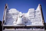 کشف بیش از ۶ تن آرد قاچاق در شهرستان مراغه