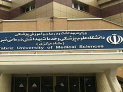 تهران و تبریز بیشترین دانشمندان ۲ درصد برتر جهان را در کشور دارند