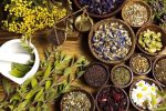 آذربایجان‌شرقی قطب اول فرآوری گیاهان دارویی در کشور می‌شود