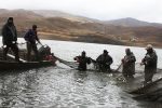 آغاز صید ۳۲۰۰ تن انواع ماهی از منابع آبی آذربایجان‌شرقی