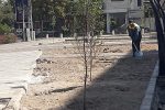 کاشت درخت و فضای سبز در پارک محله‌ای داخل اراضی ارتش