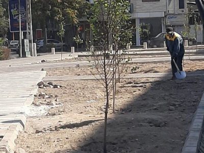 کاشت درخت و فضای سبز در پارک محله‌ای داخل اراضی ارتش