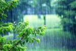 بارش های سال آبی جاری در آذربایجان شرقی ۴۷.۳ میلیمتر افزایش یافت