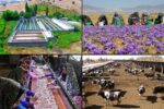 چهار هزار و ۷۸۷ طرح اشتغال روستایی در آذربایجان‌شرقی