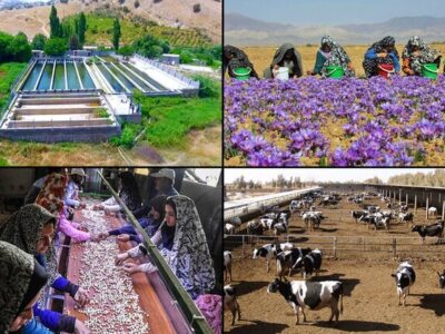 چهار هزار و ۷۸۷ طرح اشتغال روستایی در آذربایجان‌شرقی